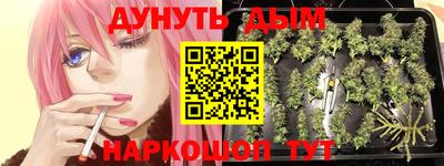 дживик Ливны