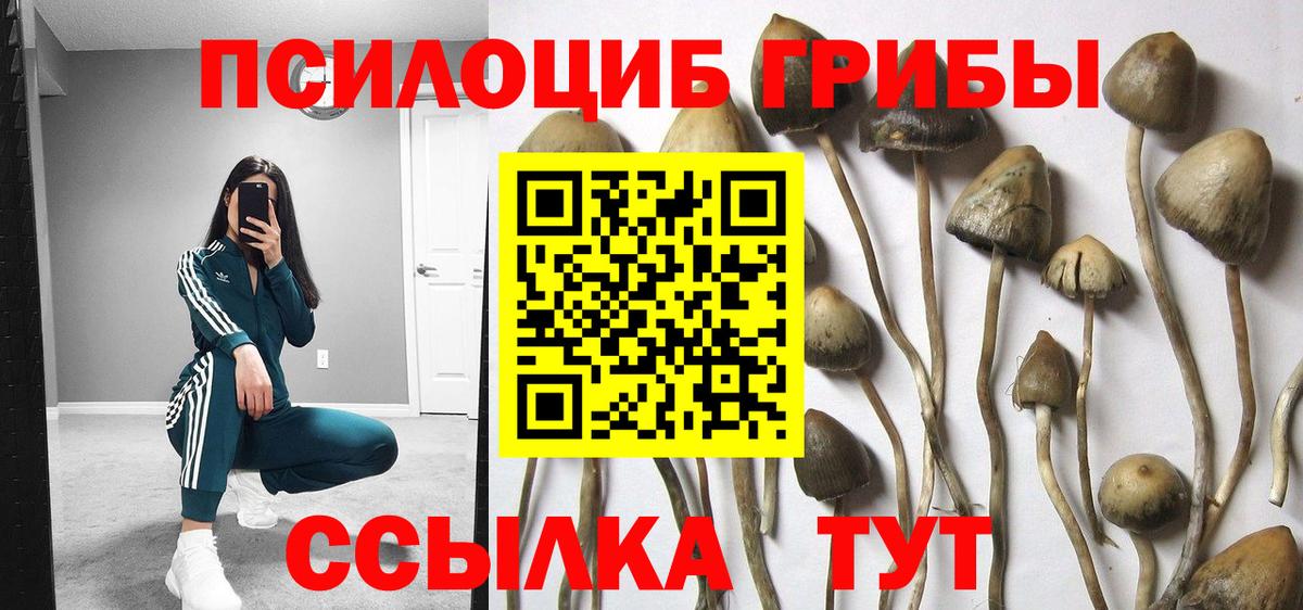 Елизово  Галлюциногенные грибы прущие грибы  цены   Вход с VPN 