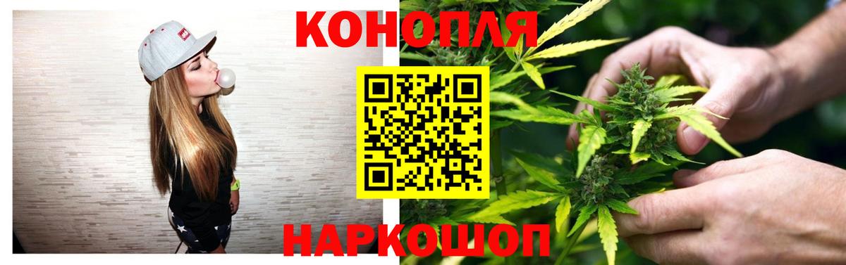 Конопля Amnesia Елизово